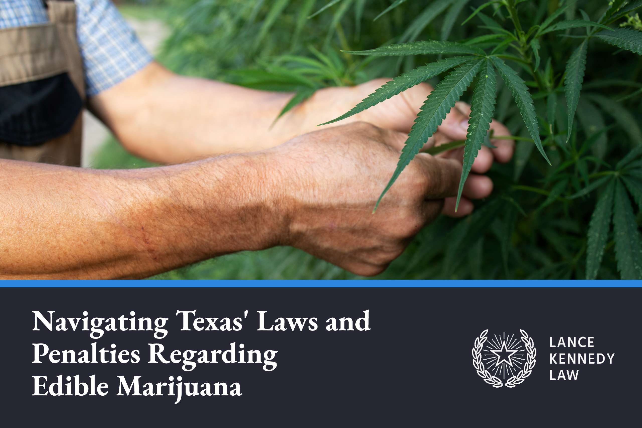 Texas Edible Marijuana Laws | Lance Kennedy